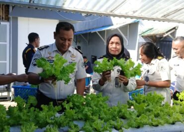 Produktif dari Dalam Rutan: Panen Selada Dukung Ketahanan Pangan Nasional