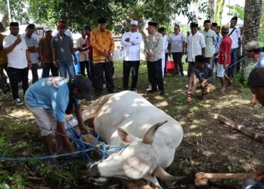 Wagub Maluku Gelar Penyembelihan Hewan Qurban,