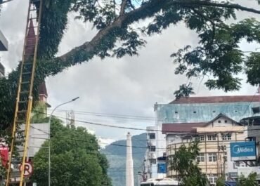 Cuaca Ekstrim Sebabkan Pohon Tumbang OPD Pemkot Ambon Gerak Antisipasi