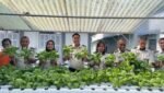 Panen Sayur Pakcoy, Rutan Ambon Perkuat Pembinaan Kemandirian Warga Binaan”