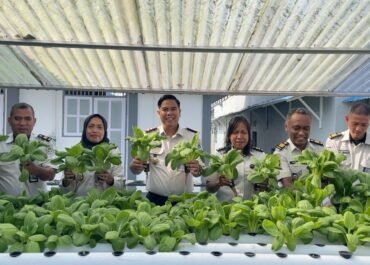 Panen Sayur Pakcoy, Rutan Ambon Perkuat Pembinaan Kemandirian Warga Binaan”