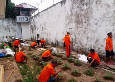 Warga Binaan Rutan Klas II A Ambon Tanam Anakan Cabai Dan Anakan Terong perjuangan Ketahanan Pangan