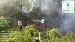Karhutla Siwang Hanguskan 6 Hektare, Dinas Kehutanan Maluku Pantau 369 Hotspot