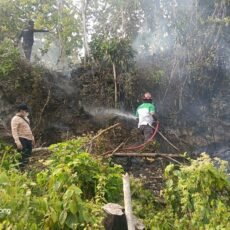 Karhutla Siwang Hanguskan 6 Hektare, Dinas Kehutanan Maluku Pantau 369 Hotspot