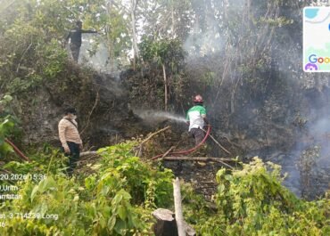 Karhutla Siwang Hanguskan 6 Hektare, Dinas Kehutanan Maluku Pantau 369 Hotspot