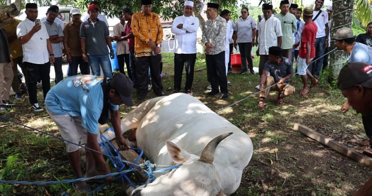 IMG-20260528-WA0137(1)