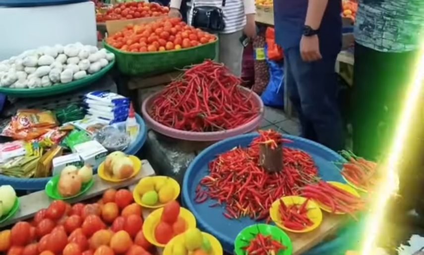 Screenshot_20260225-065239